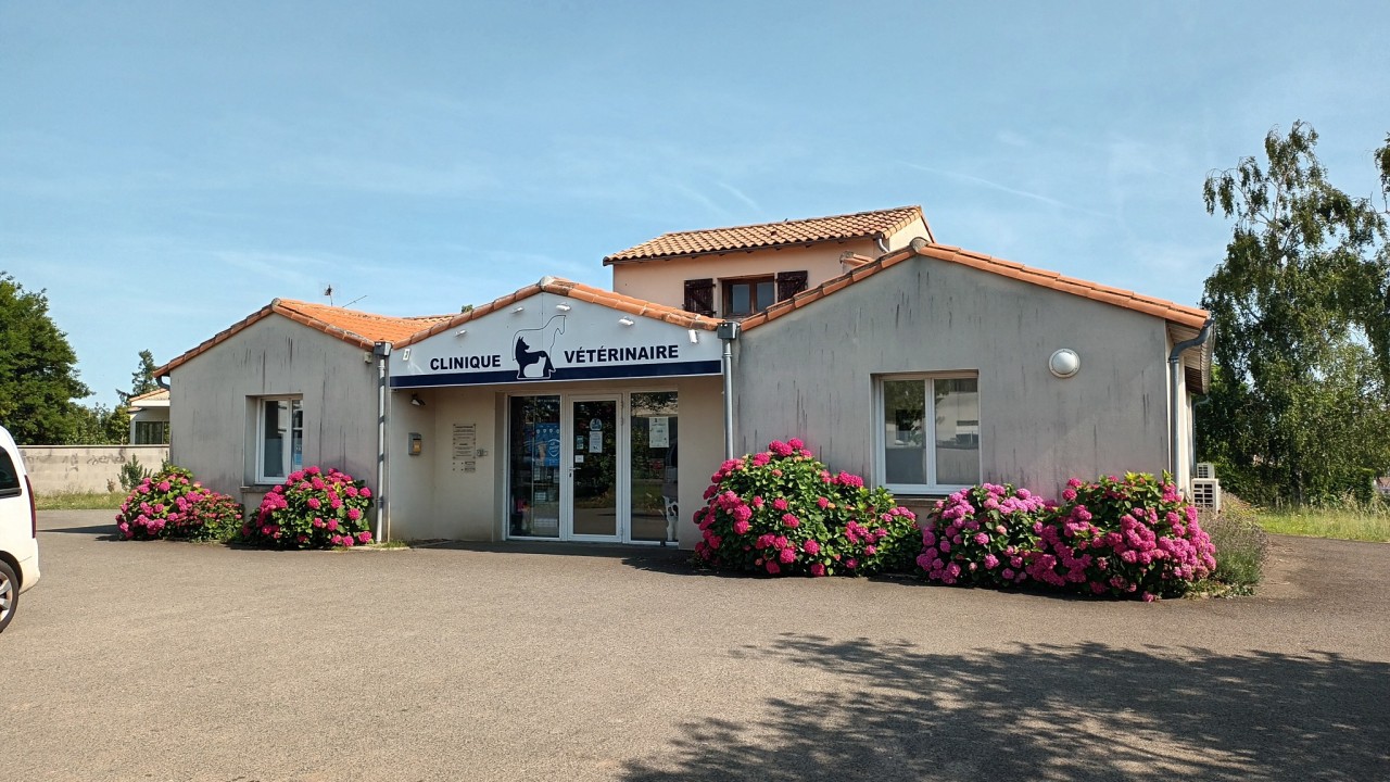 La clinique
