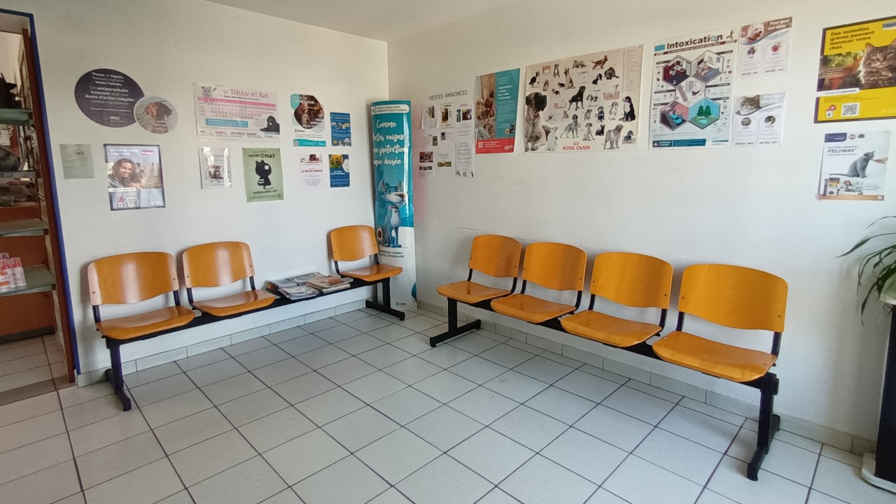 Salle d'attente